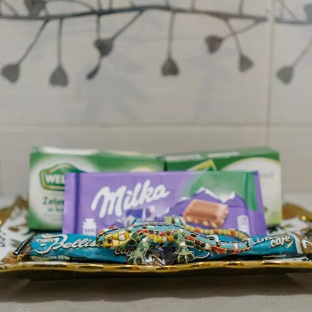 Downtown Apartment Nis