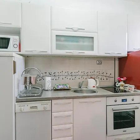 Apartment Downtown Nis